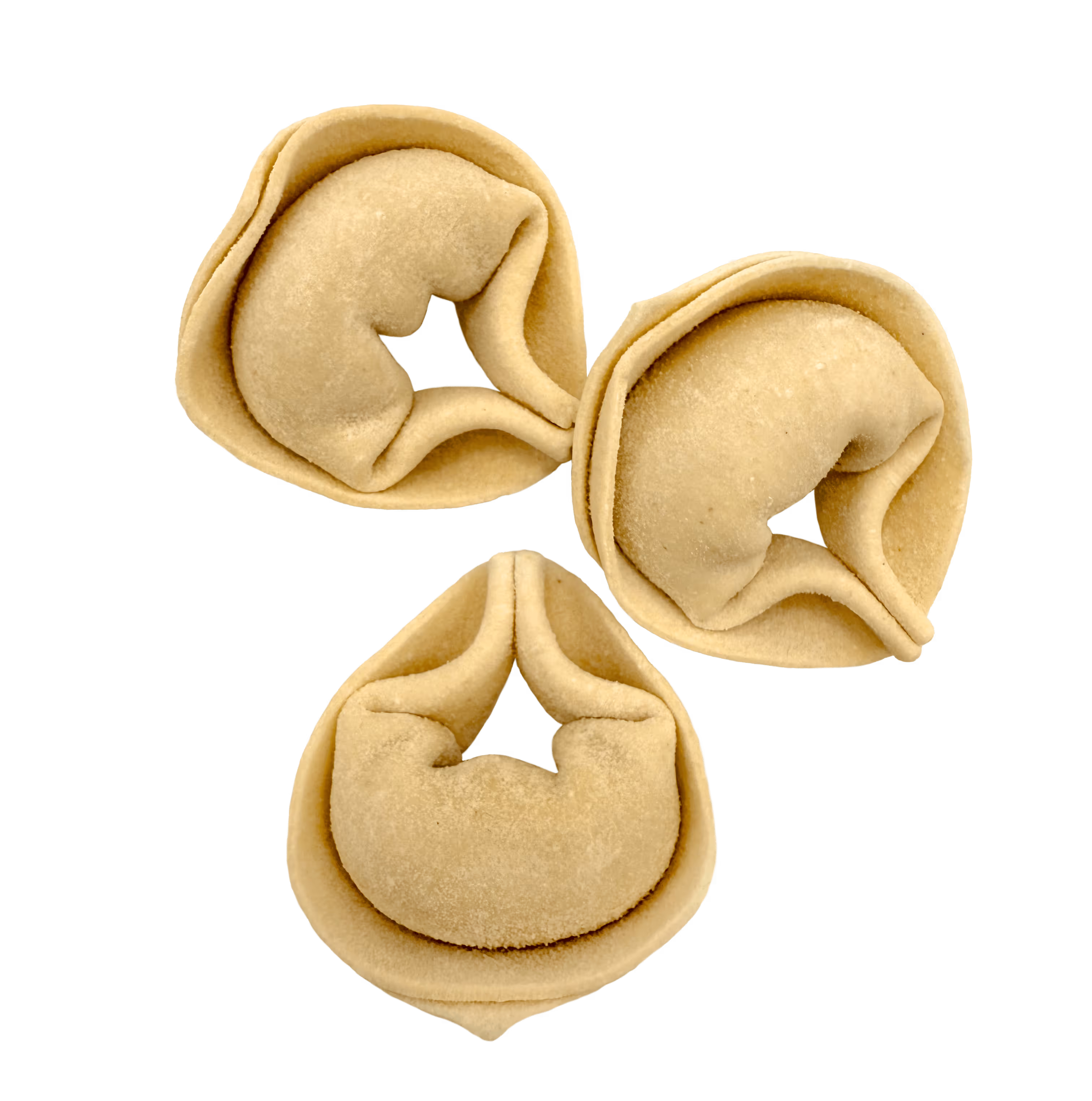 Cappelletti ravioli