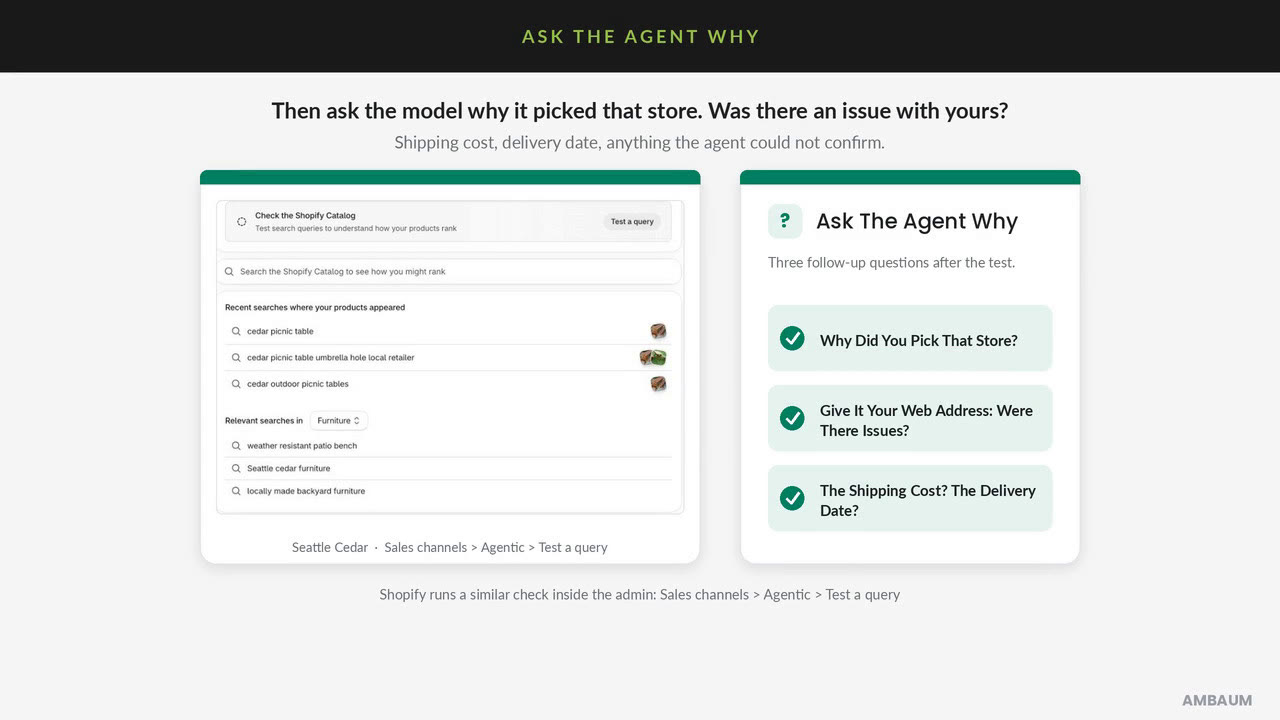 Frame from the Ambaum video: the Shopify admin Agentic search preview for an example cedar furniture store, next to three follow up questions to ask the agent