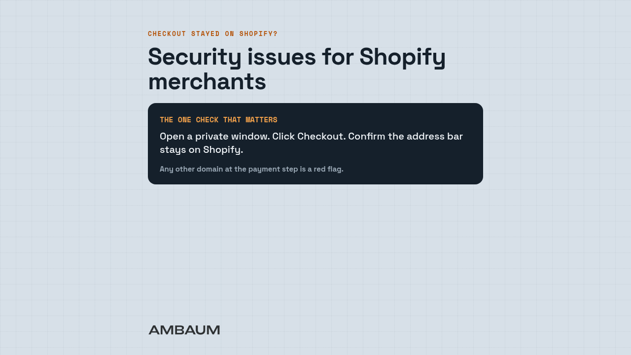 Security Issues for Shopify Merchants cover — blue-slate grid with copper accents