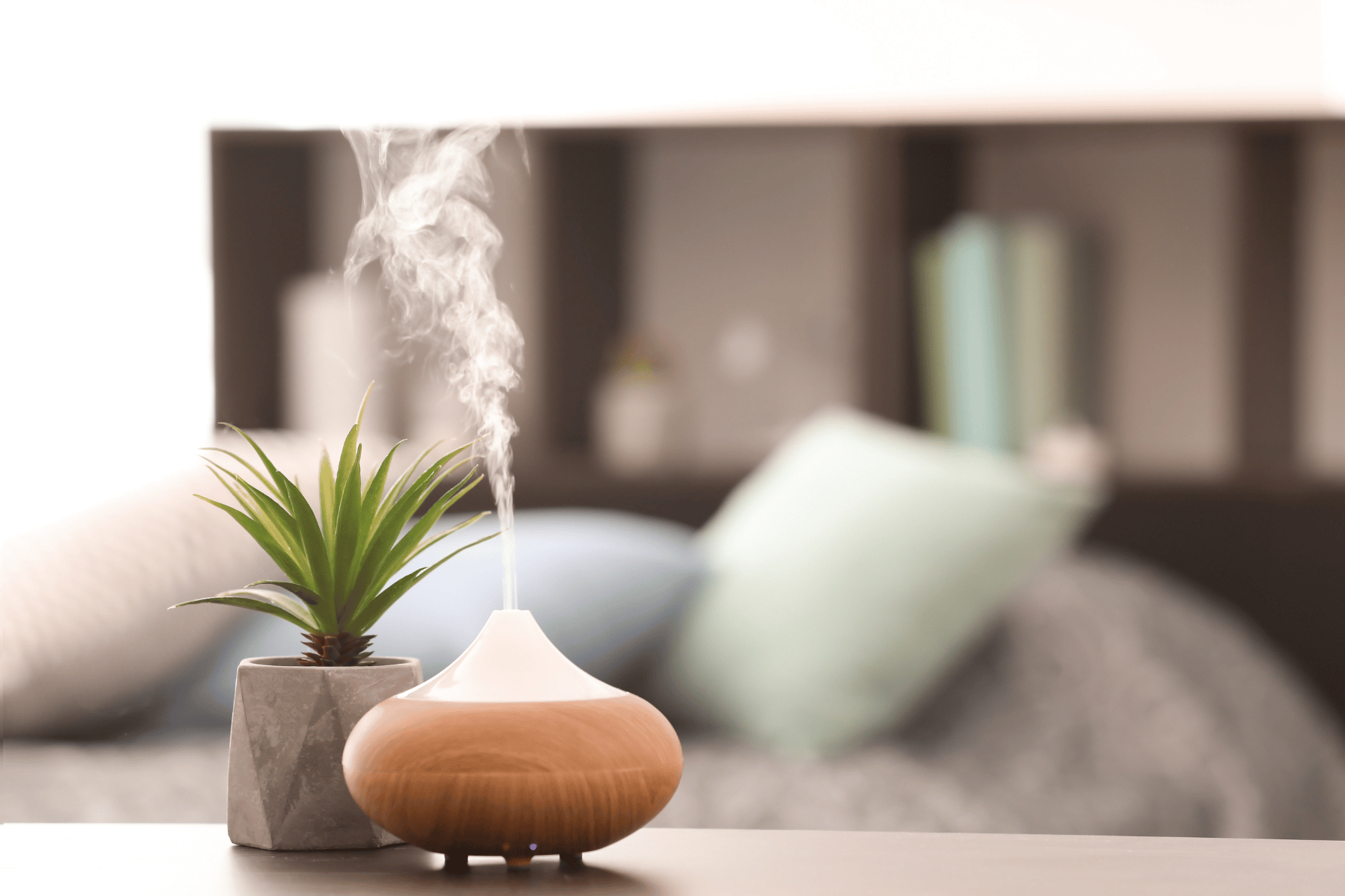 Humidifier vs. Diffuser: Which Is Right for Your Assisted Living Apartment?