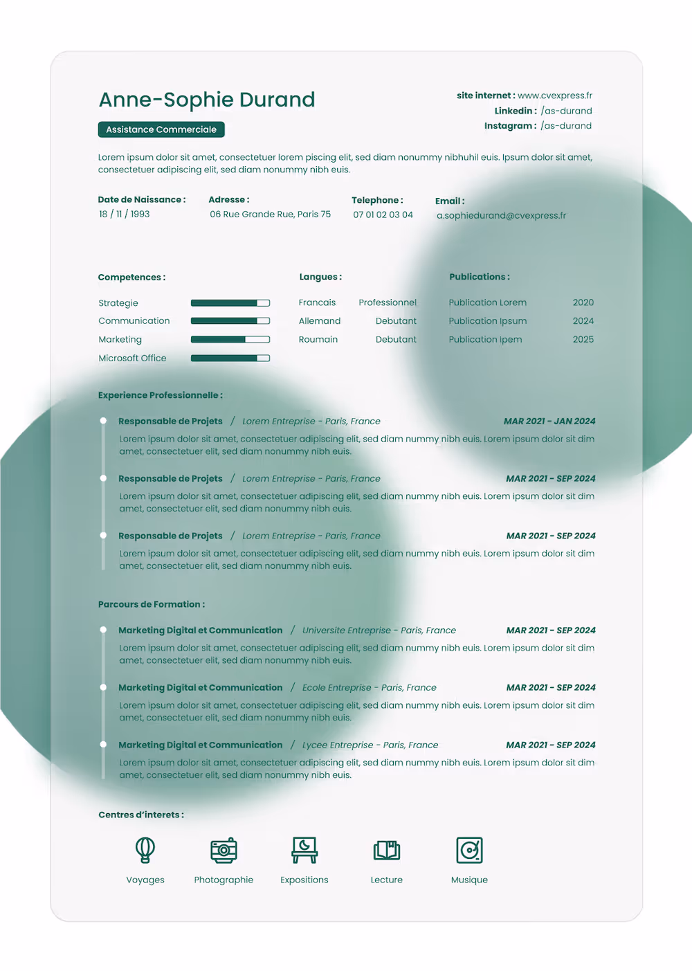 Modèle de CV moderne et professionnel – Exemple 2026 pour candidature réussie