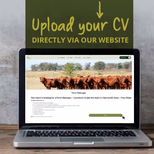 Image of a computer and text that tells you to upload your CV