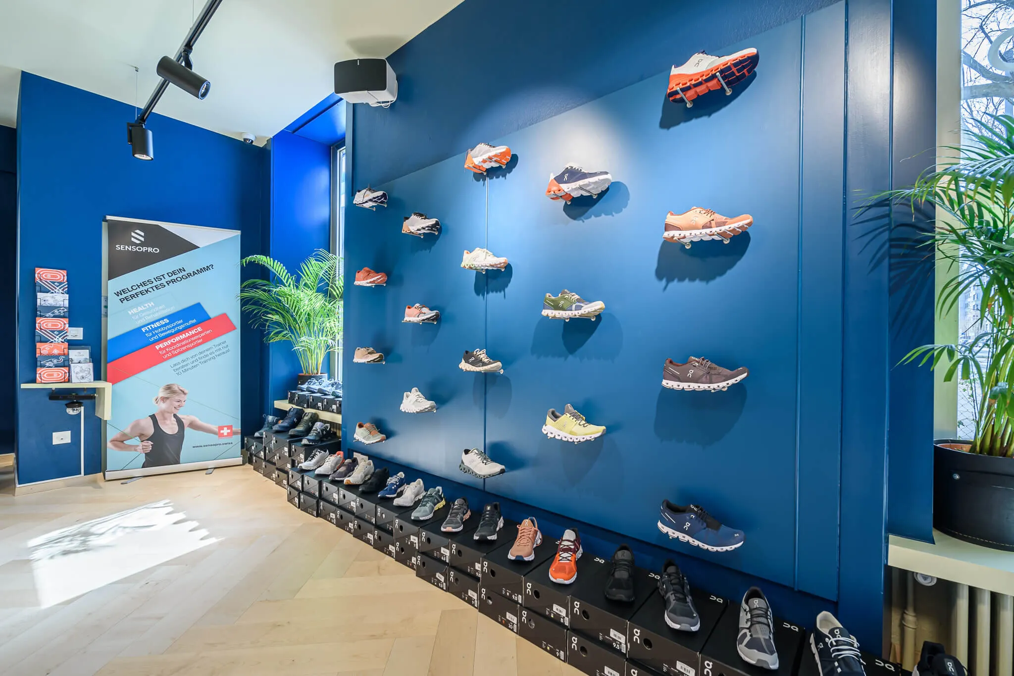Blaue Schuhwand im Kineo Runners Lab mit Laufschuhen und Schuhkartons