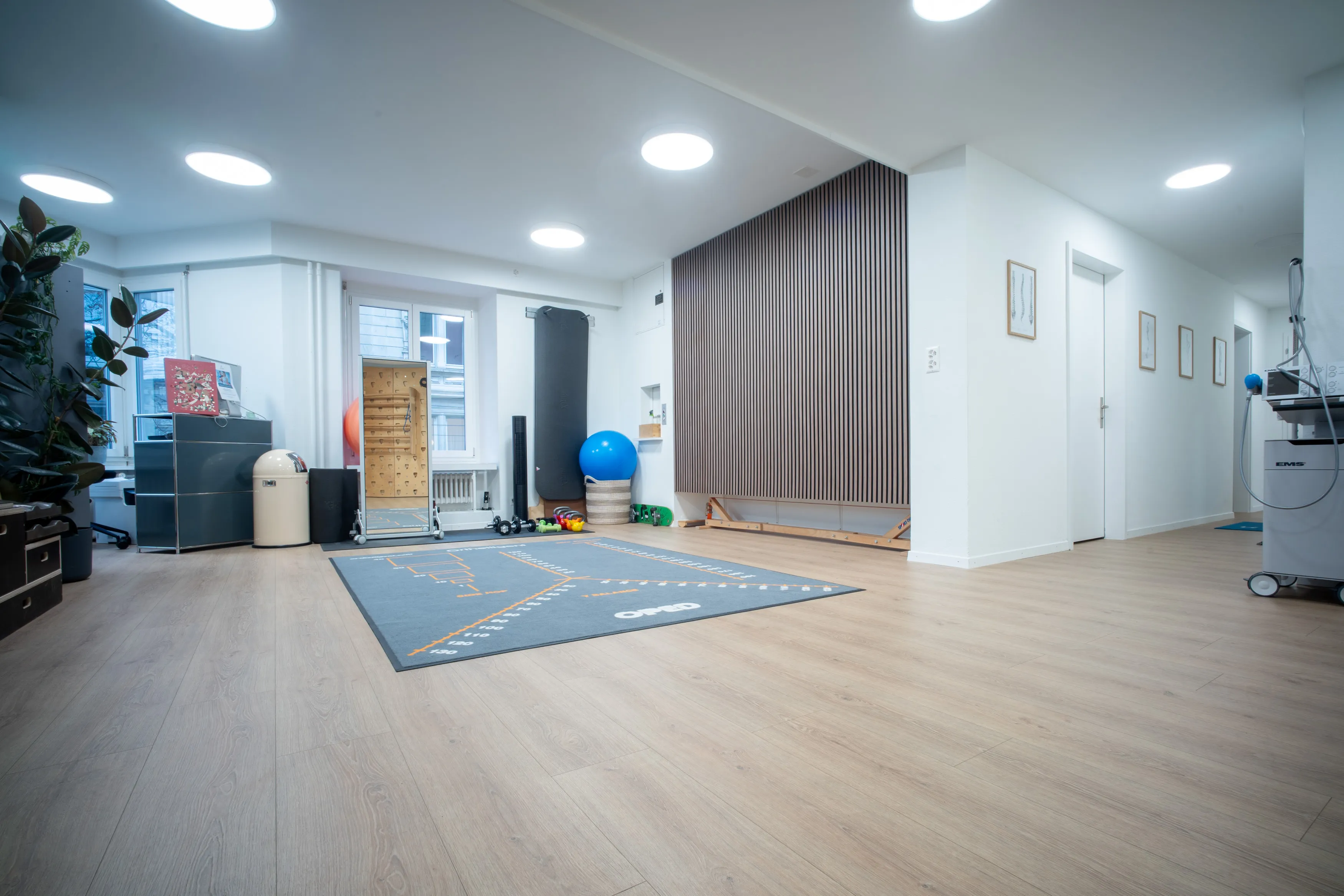 Leerer Trainingsraum der Kineo Praxis Seefeld mit Matte, Gymnastikball und Holzlamellen-Wand