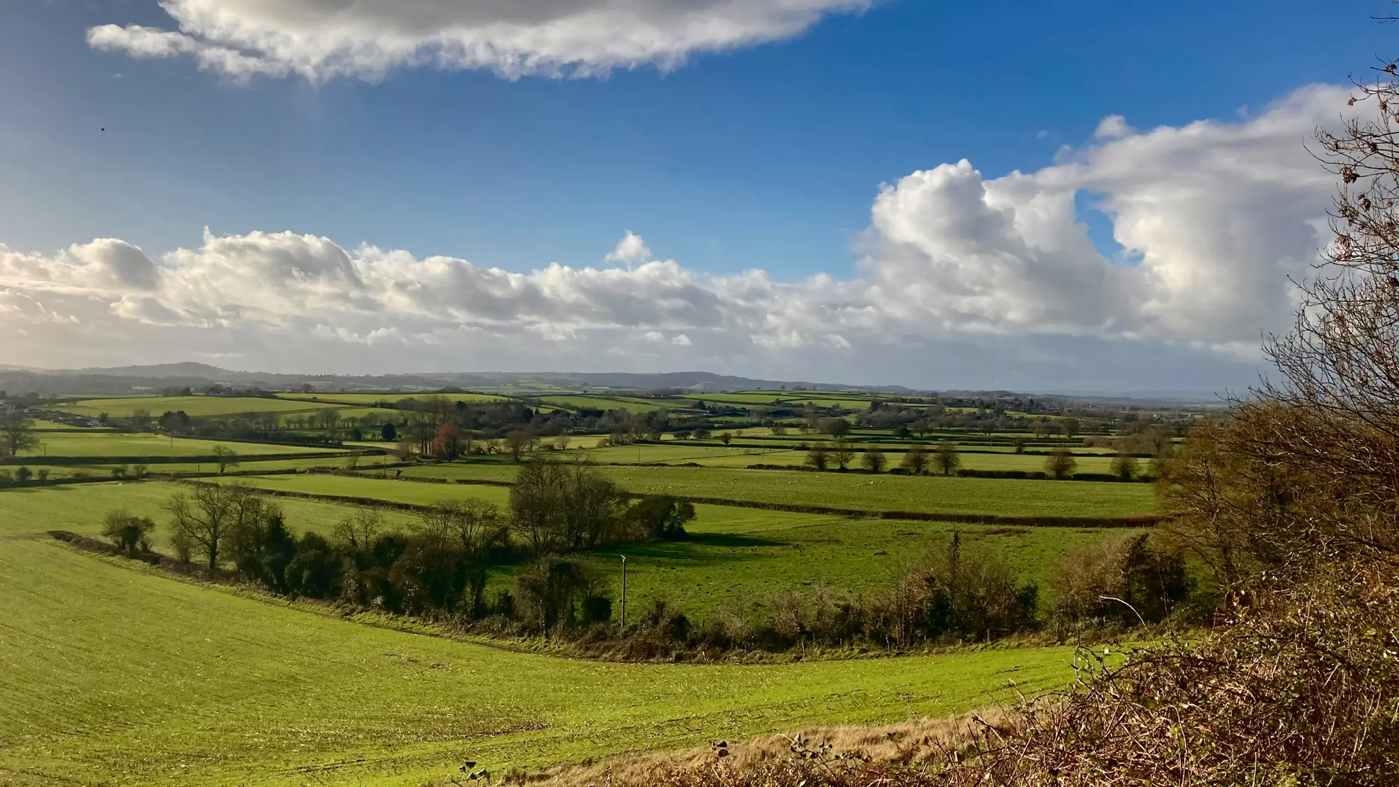 Somerset Drainage Boards Consortium - river scene in Somerset