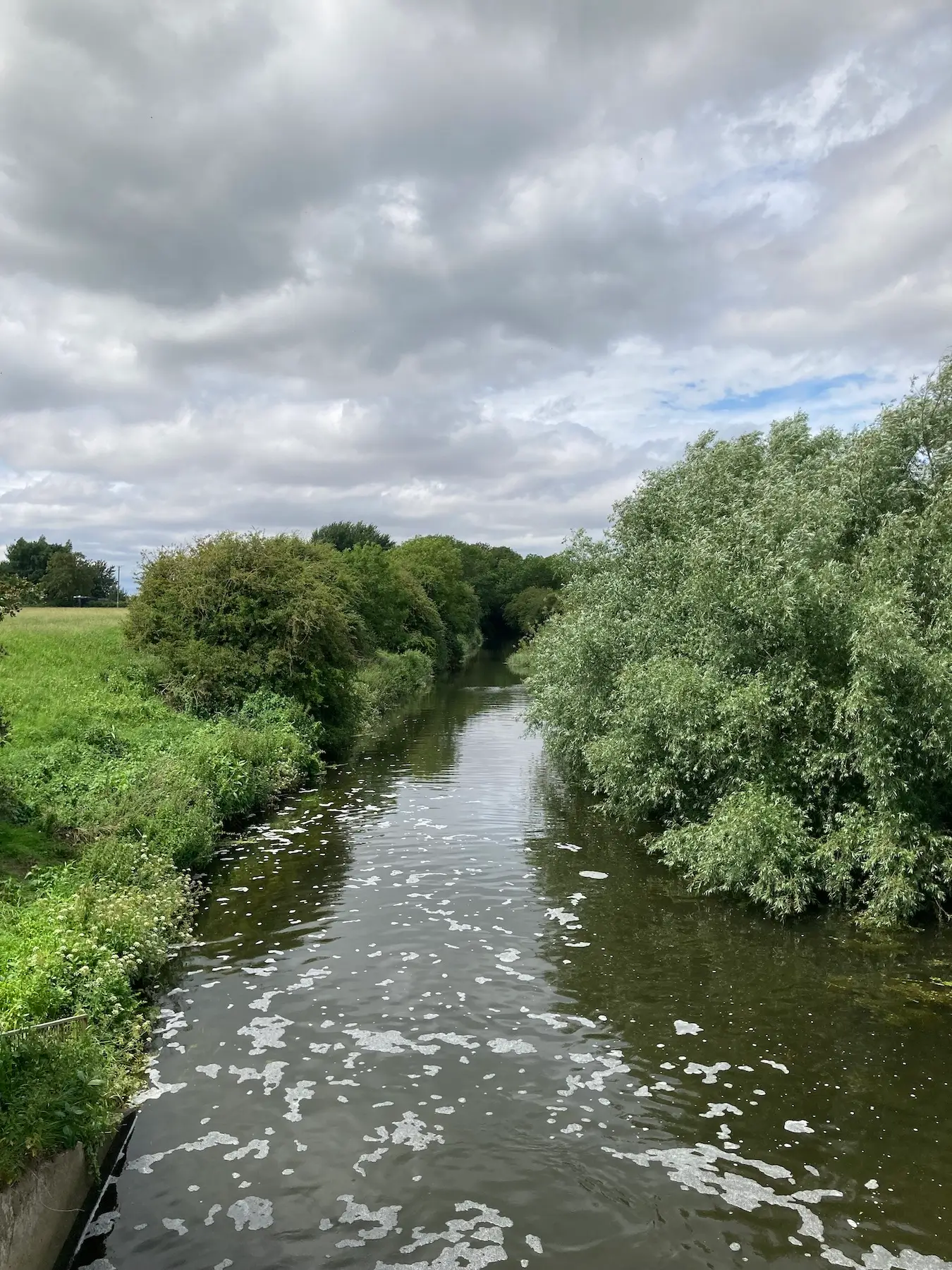 Somerset Drainage Boards Consortium - river scene in Somerset