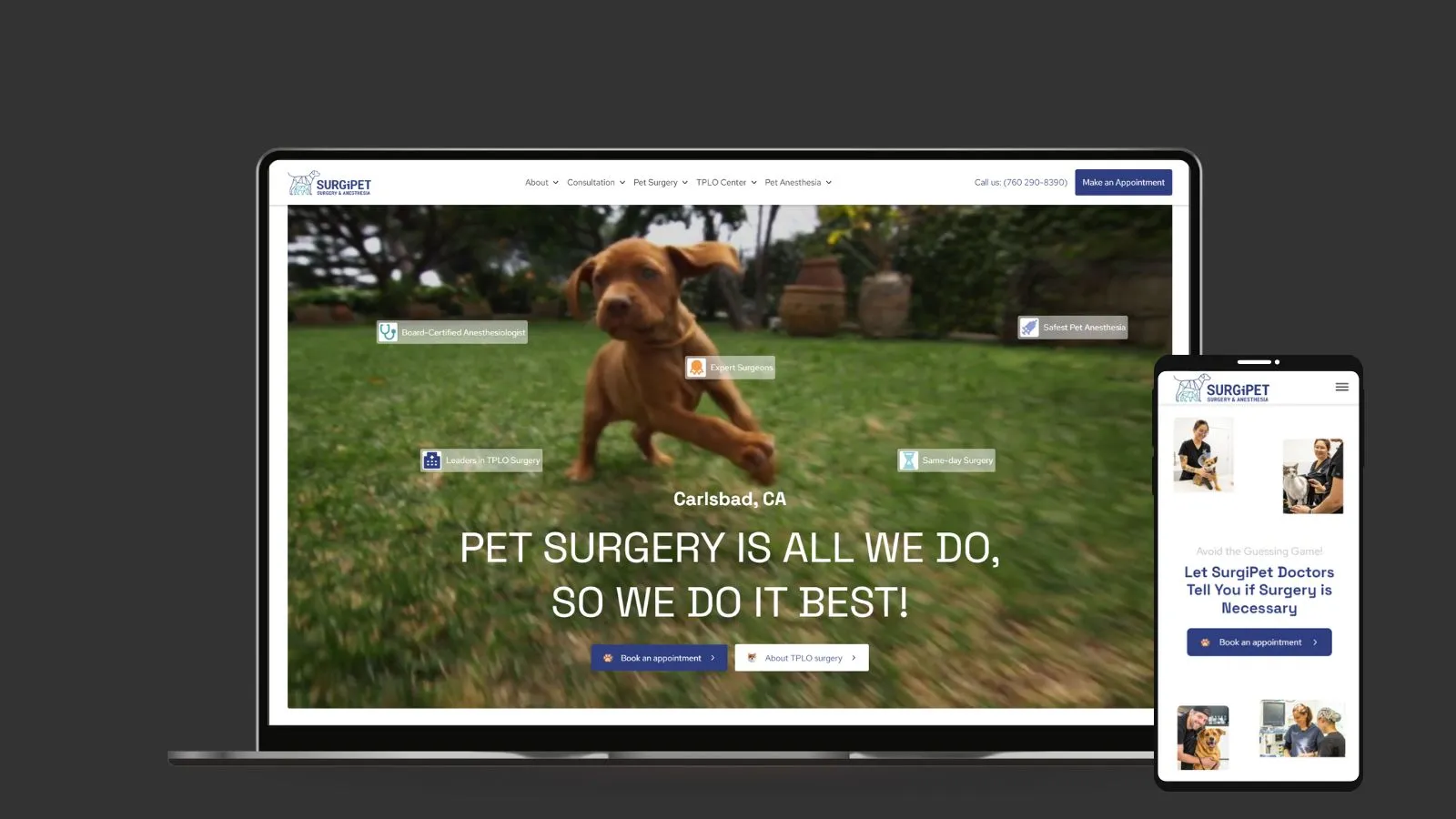 web development london