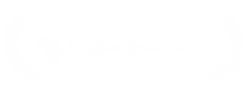 CSS White typography logo with decorative angled brackets on both sides.