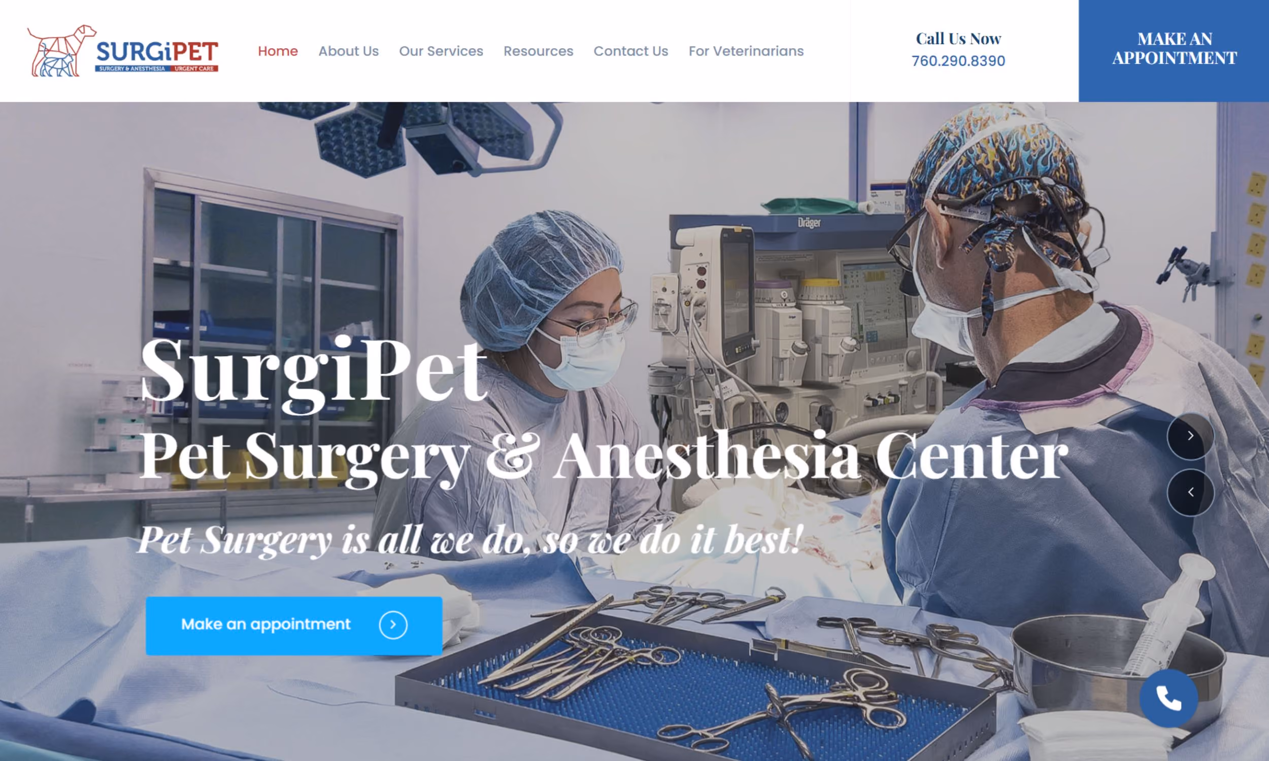Two veterinary surgeons in masks and scrubs performing surgery with surgical tools in an operating room.