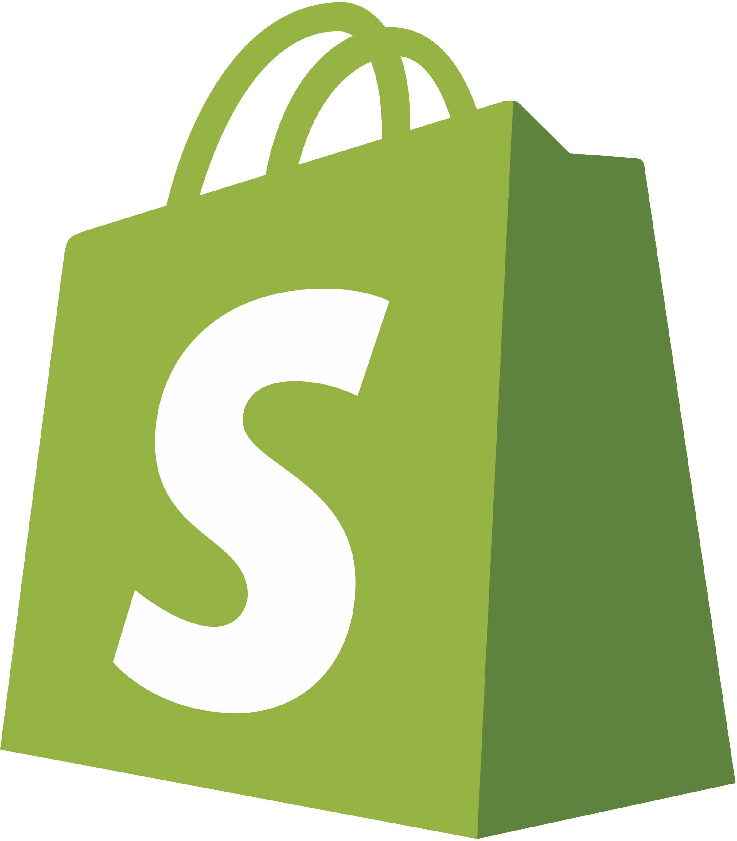 Green shopping bag icon with a white letter S on the front.
