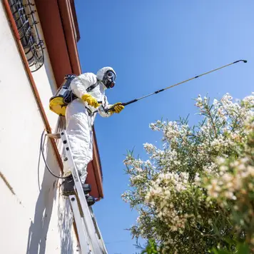 Photo d'un professionnel Nuisibook en action qui applique un traitement contre un nid de frelons