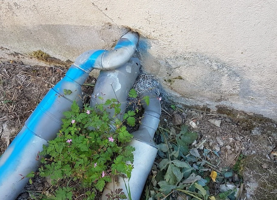 Trou dans un murs où peuvent se cacher les rats