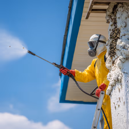 Photo d'un technicien détruisant un nid de frelons sur une façade de maison