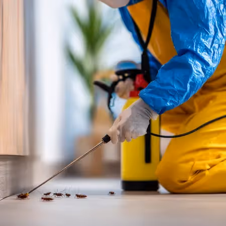 Photo d'un professionnel faisant un traitement cafards
