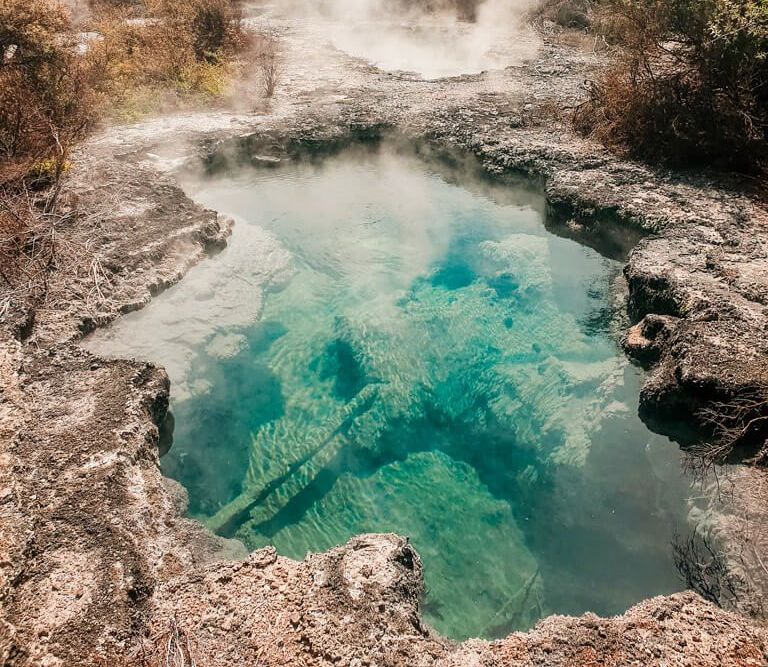 the best maori experience in rotorua new zealand 24 hours layover 1