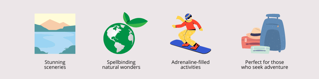 why study in new zealand artwork 4