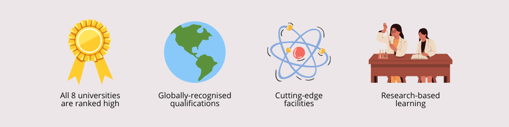 why study in new zealand artwork 1