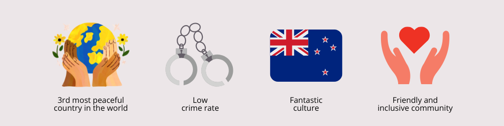 why study in new zealand artwork 3