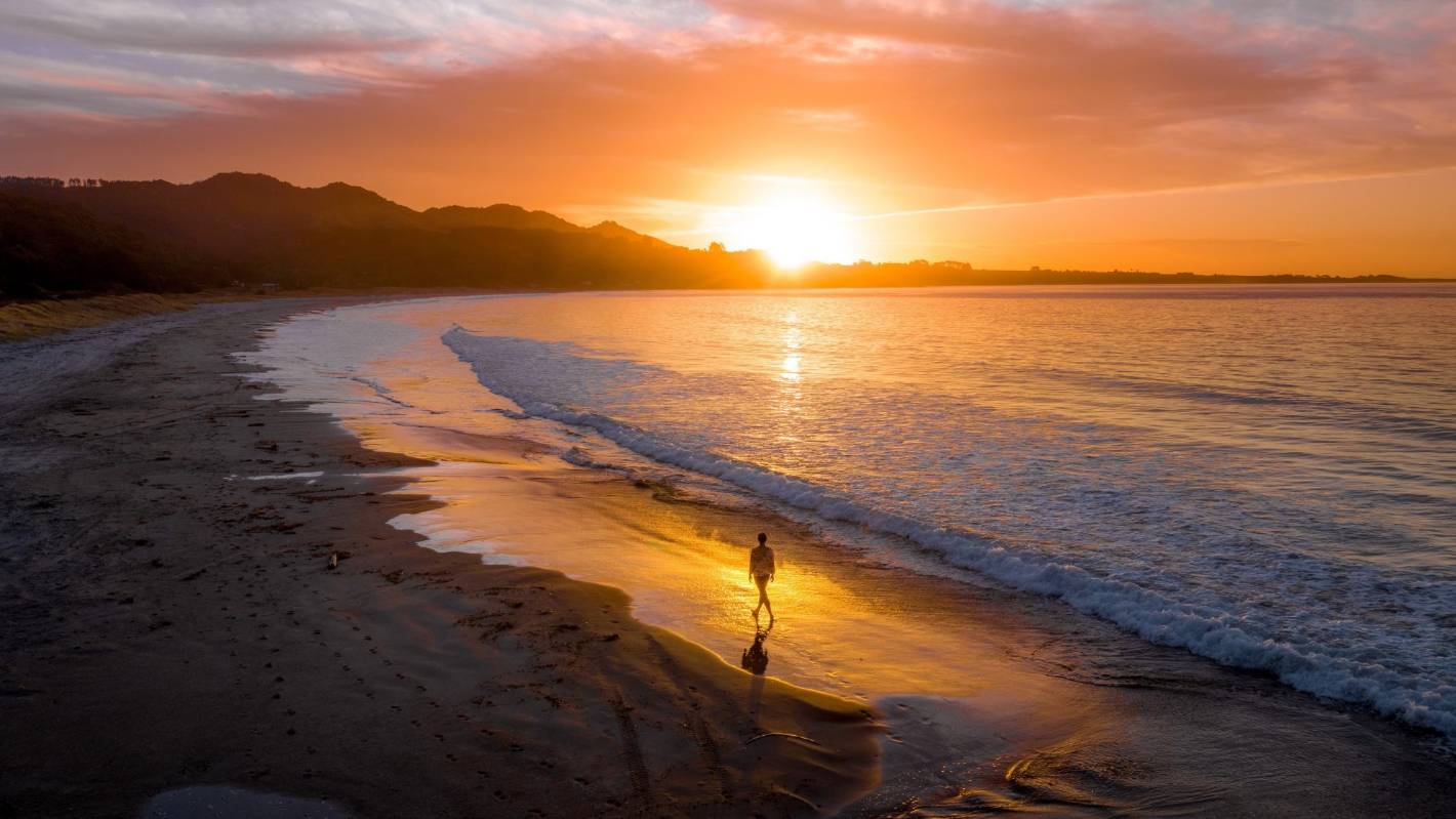 fun facts about nz artwork 3