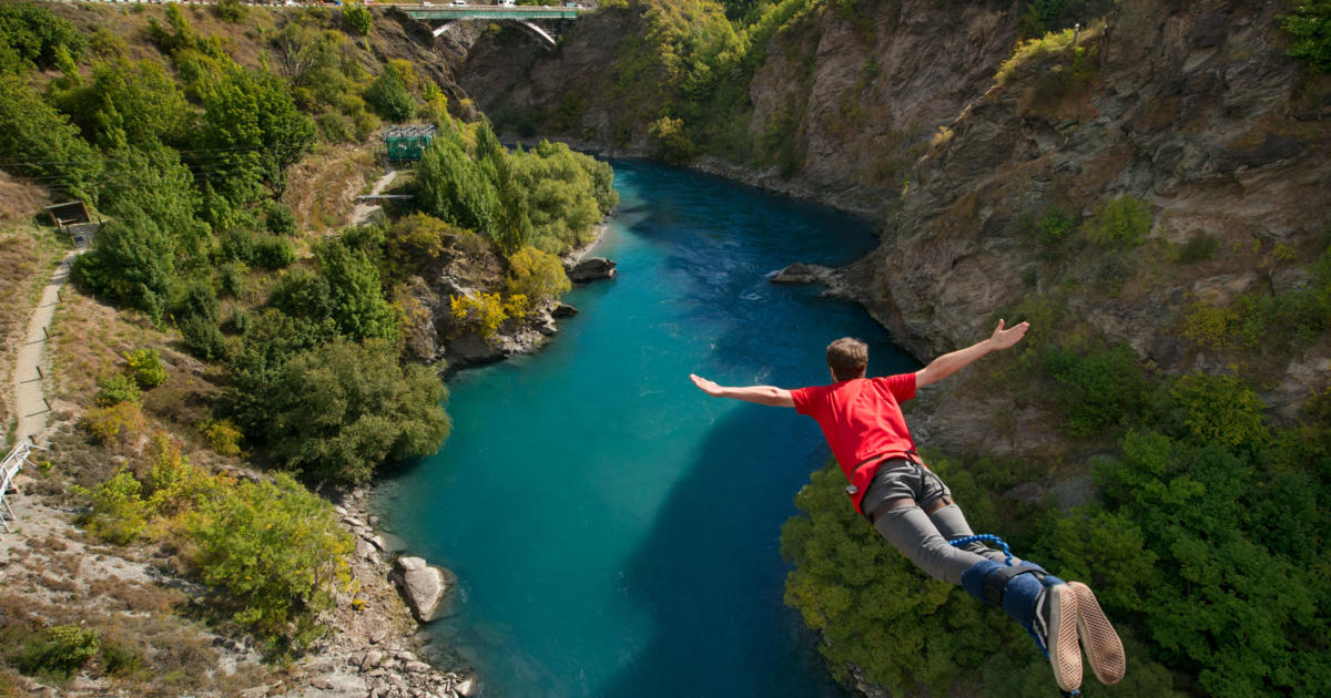 fun facts about nz artwork 5