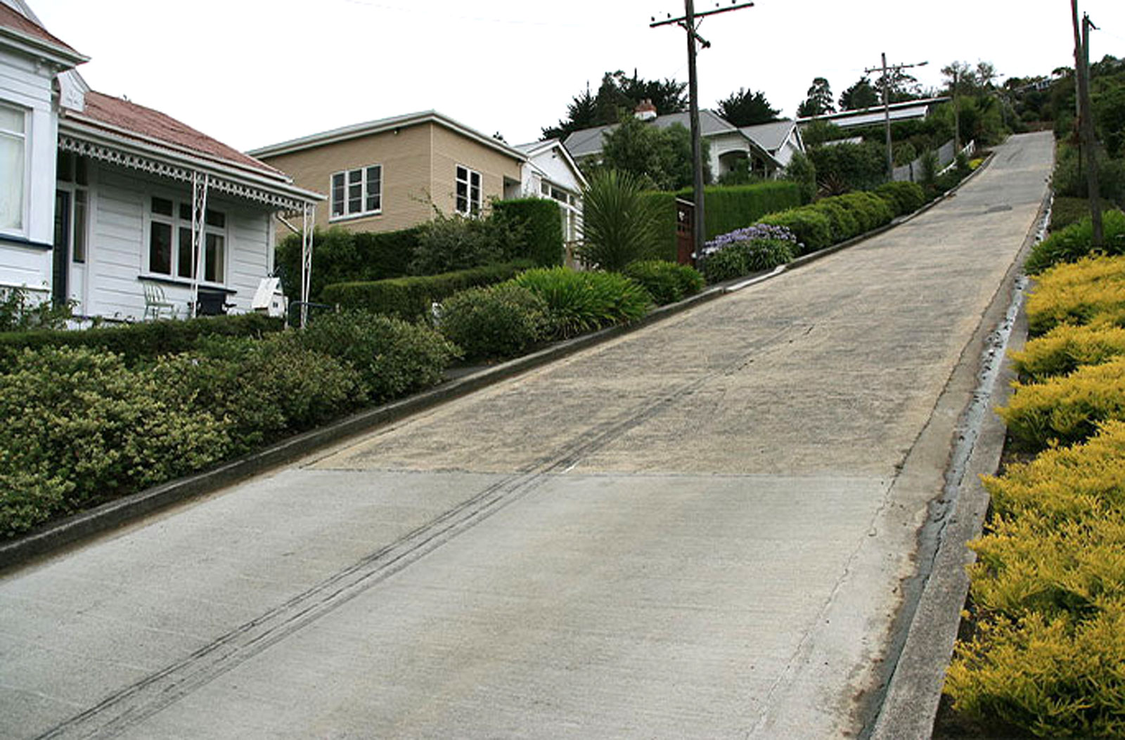 fun facts about nz artwork 2