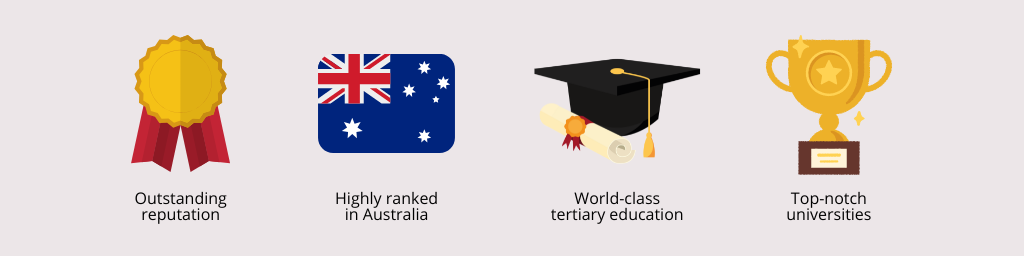 study journey with kaylee artwork 2