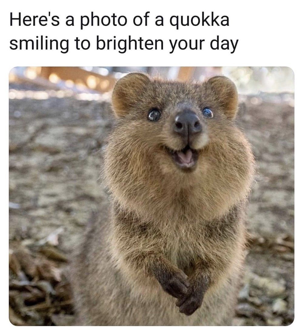 fun facts about aus artwork 4