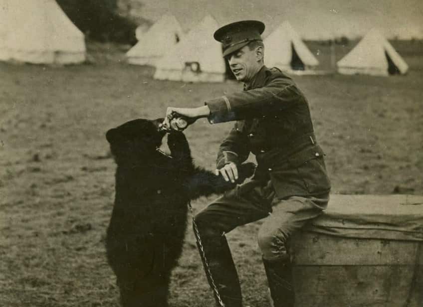 fun facts about canada artwork 1