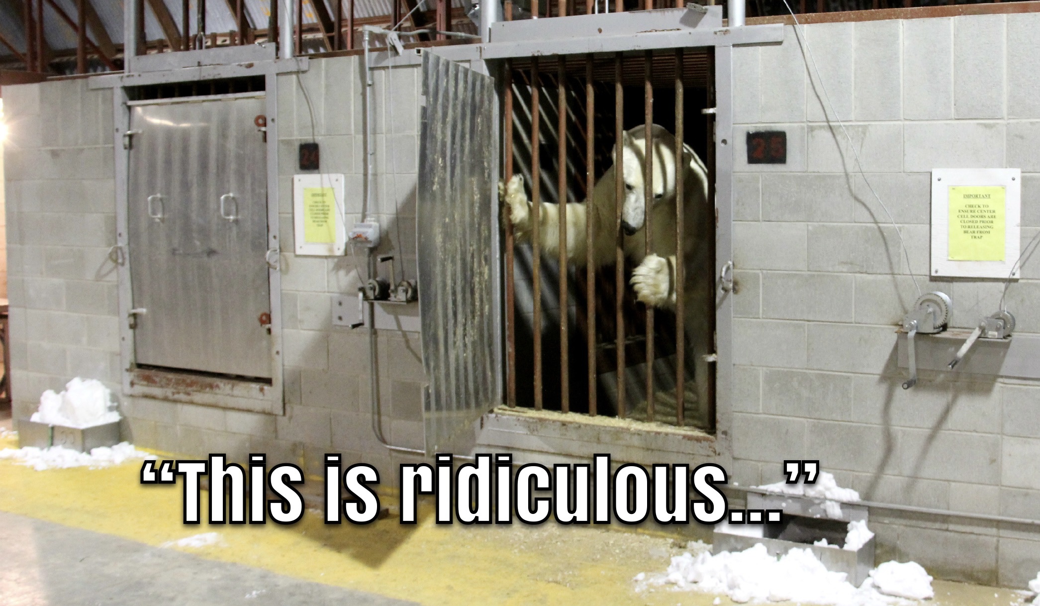 fun facts about canada artwork 4