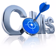 cms web design