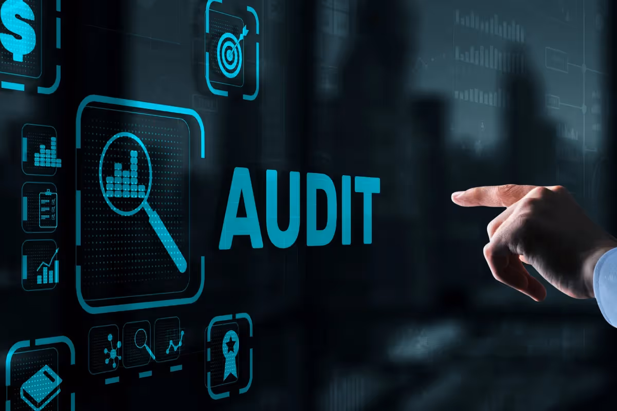 website audit service