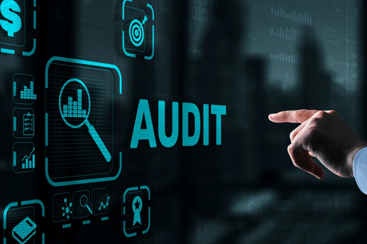 website audit service