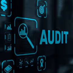 website audit service