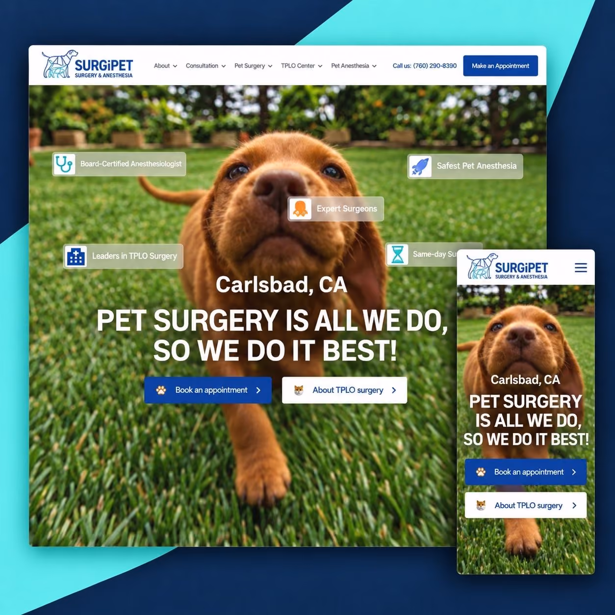 SurgiPet website shown on desktop and mobile devices.