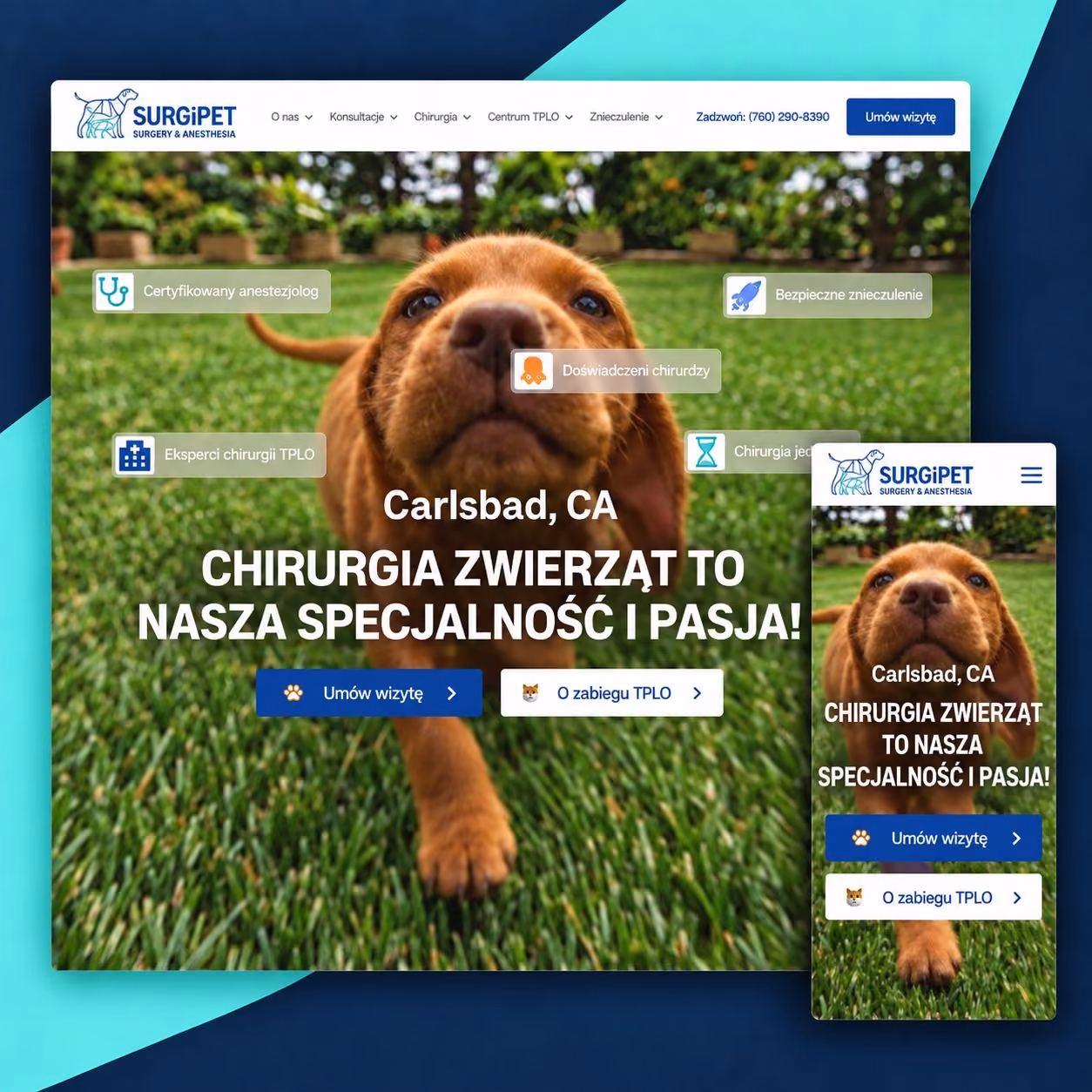 Strona SurgiPet — widok desktop i mobile.