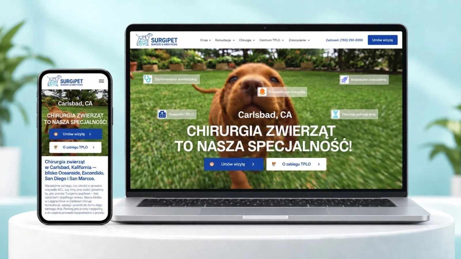 Strona SurgiPet — widok desktop i mobile.