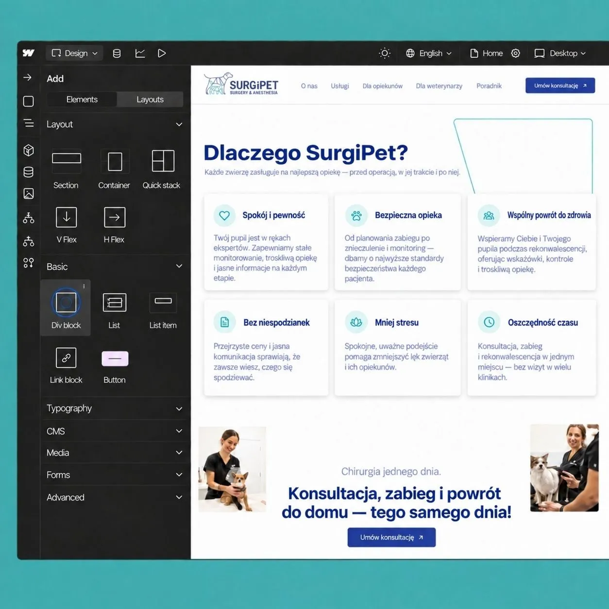 Strona SurgiPet — widok desktop i mobile.
