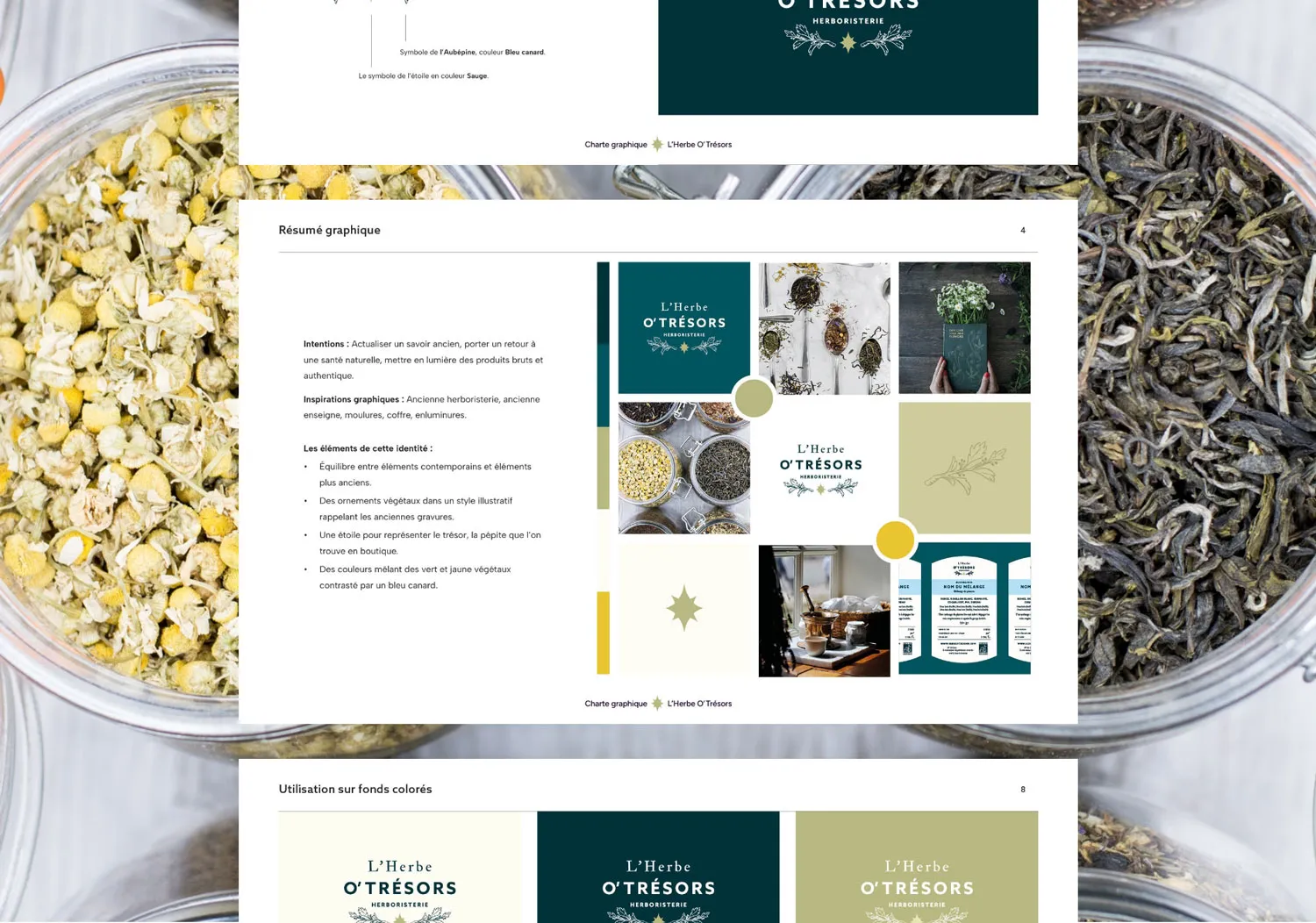 Création de l'identité visuelle et de la charte graphique de l'herboristerie L'Herbe O'Trésors.