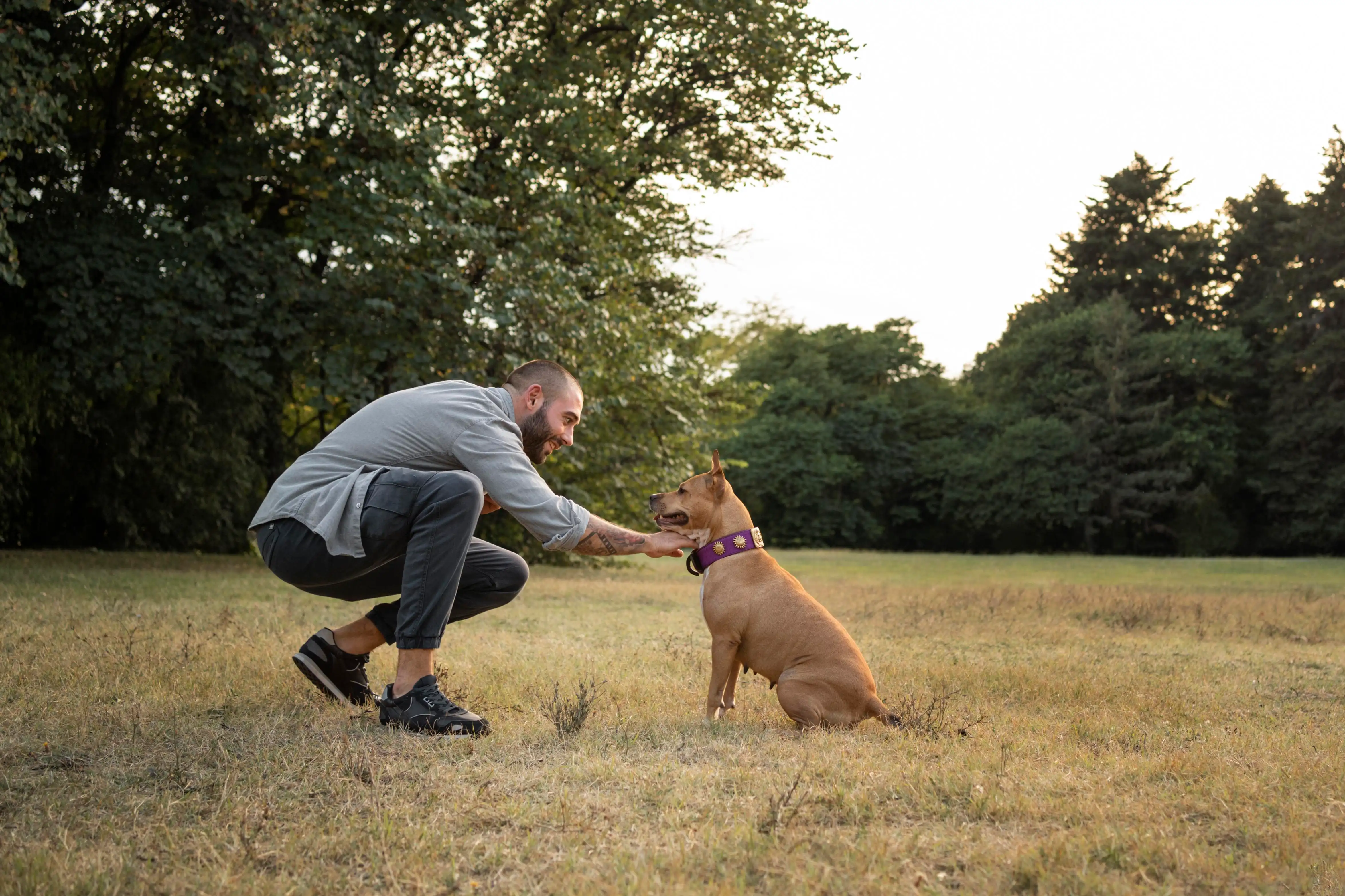 How Louis Berk Law Fights for Dog Bite Victims in Orlando
