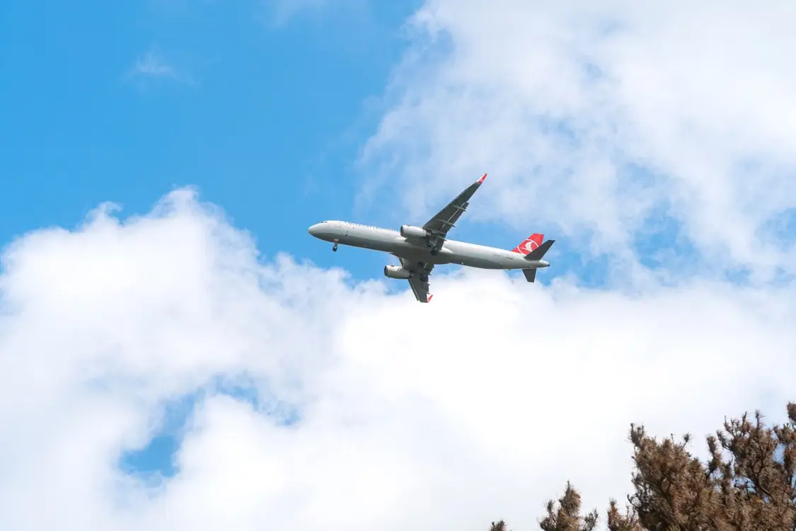 How Louis Berk Law Handles Aviation Accident Cases