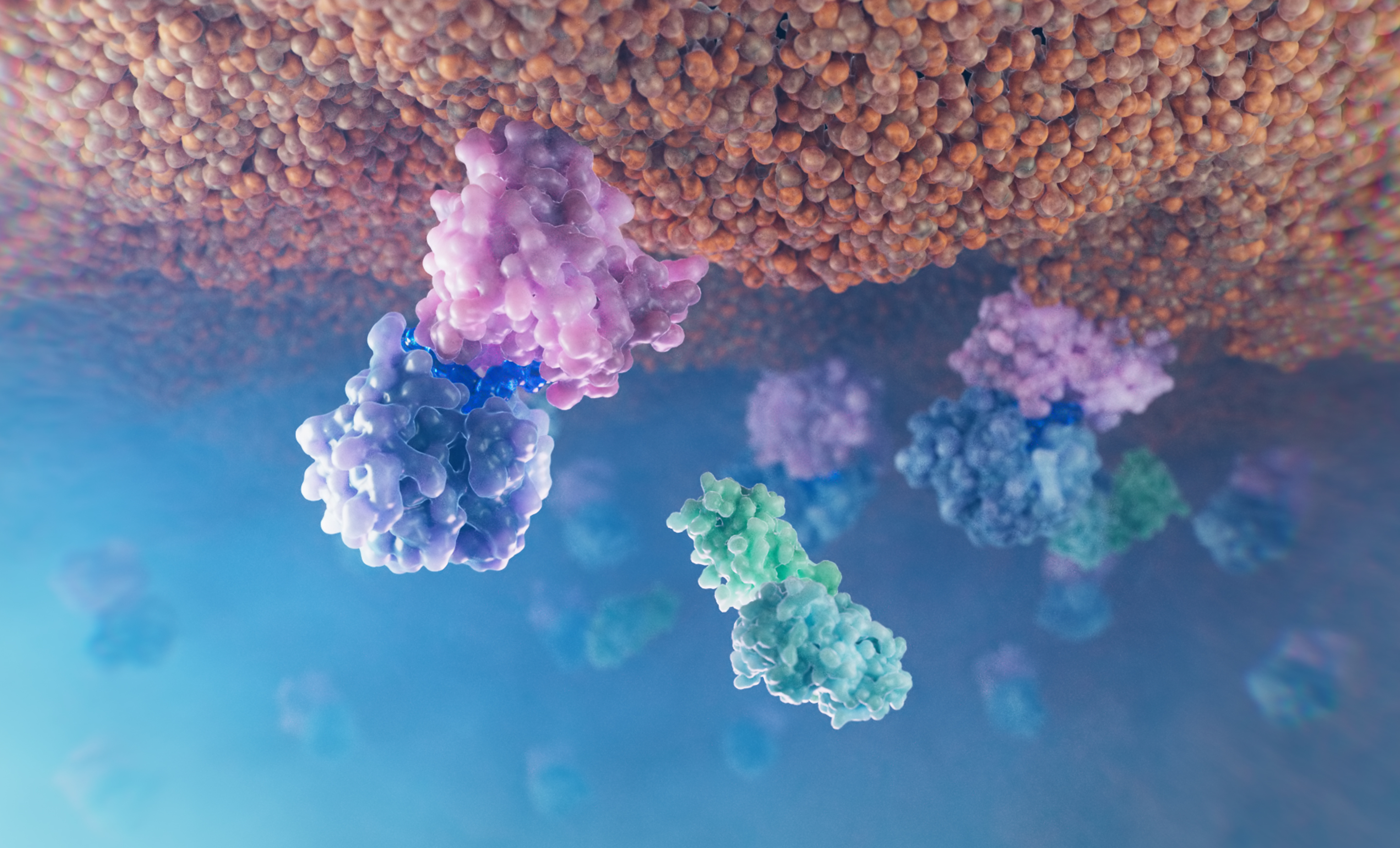 Signaling pathway inhibitor