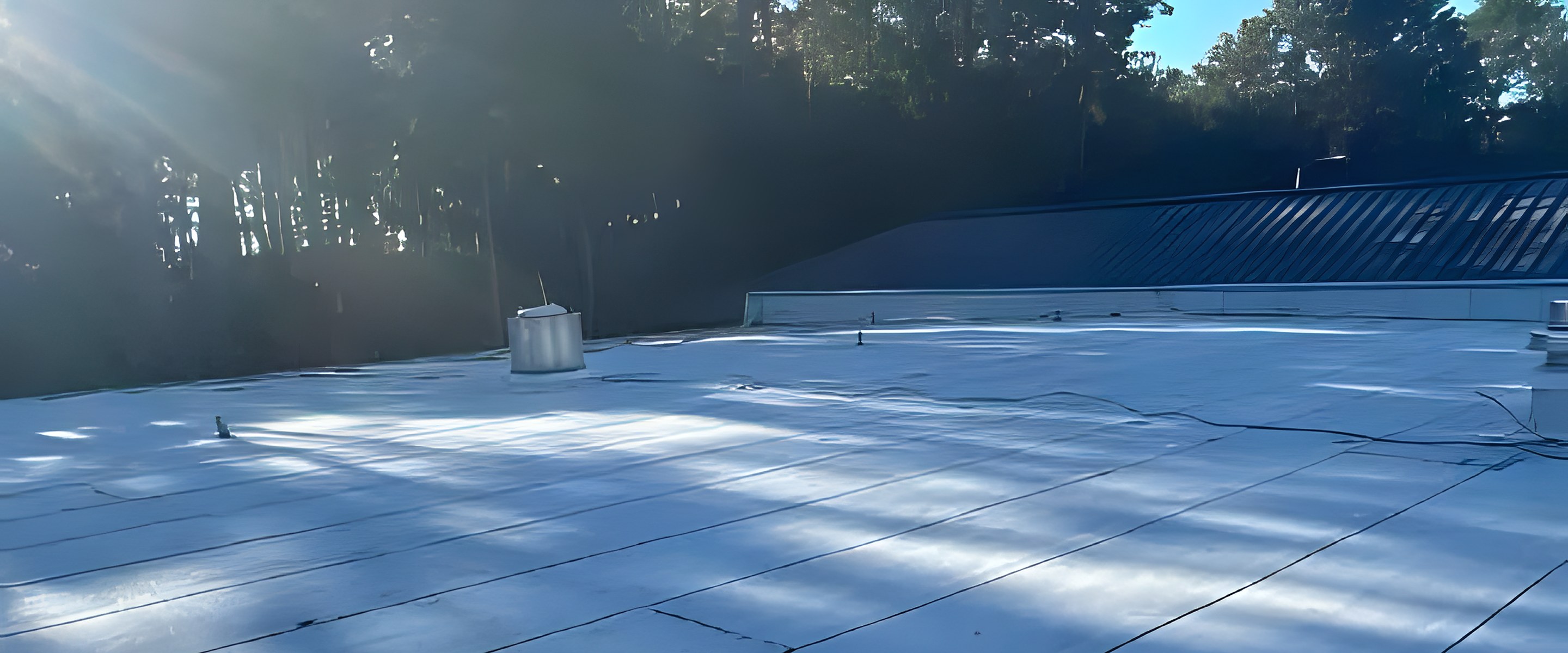 Commercial flat roof finished with a white reflective coating, tree line in the background