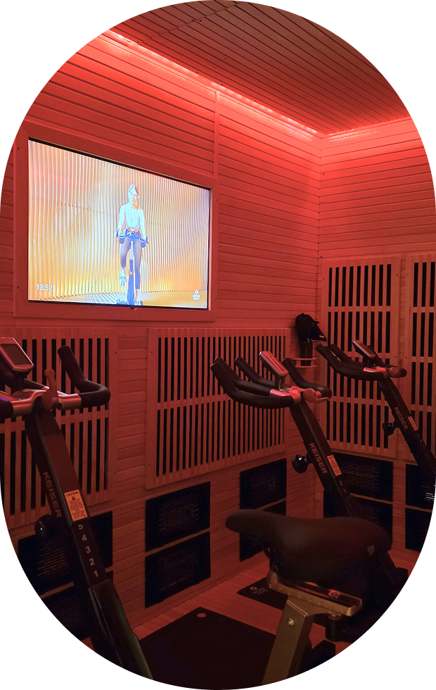 Cardio Vélo