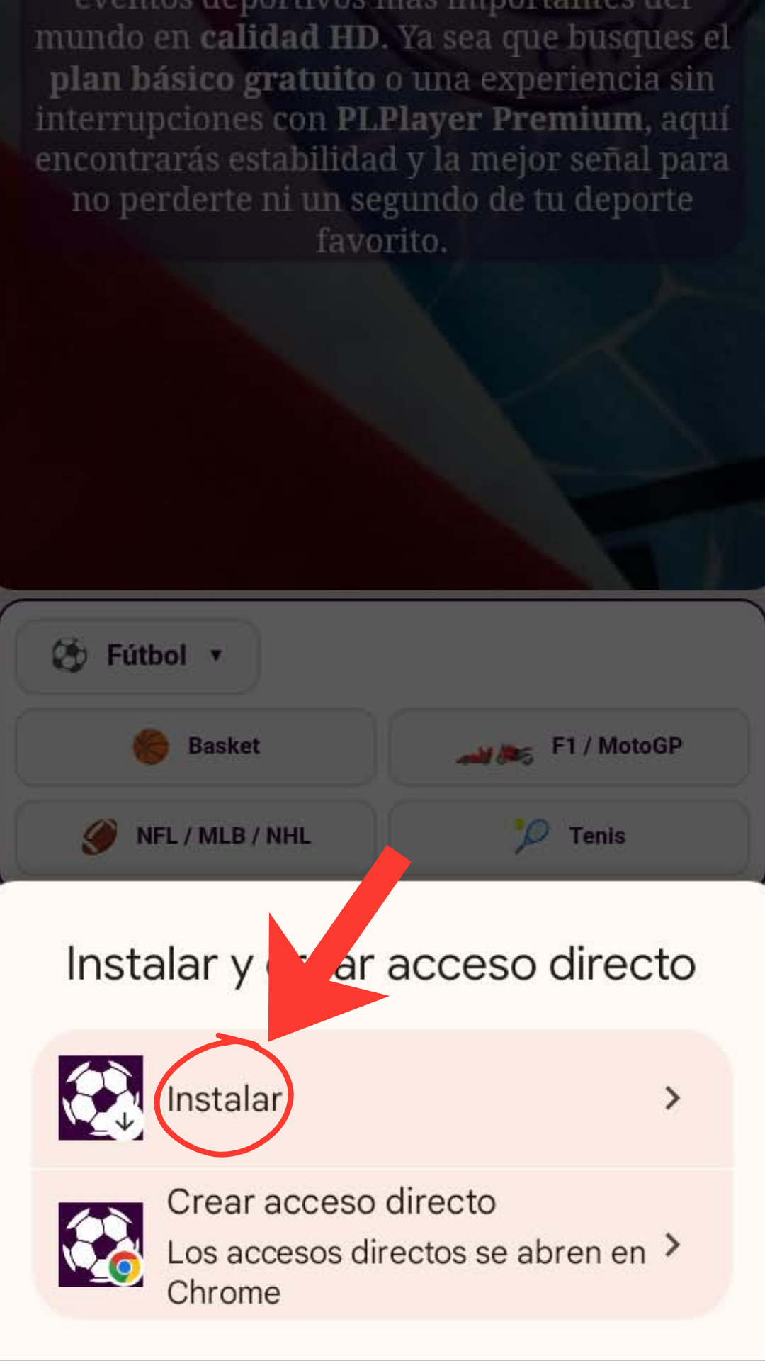 Paso 3