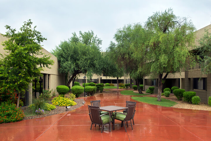 Landscaped courtyard with trees and tables — view 2 at LifeStream at Glendale.