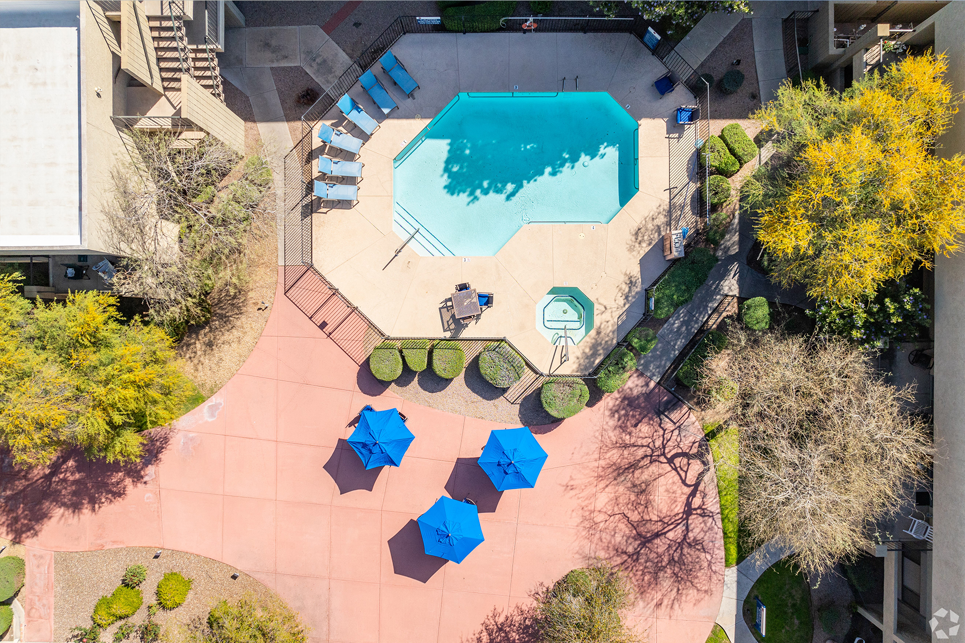 Swimming pool within the landscaped courtyard — view 1 at LifeStream at Glendale.
