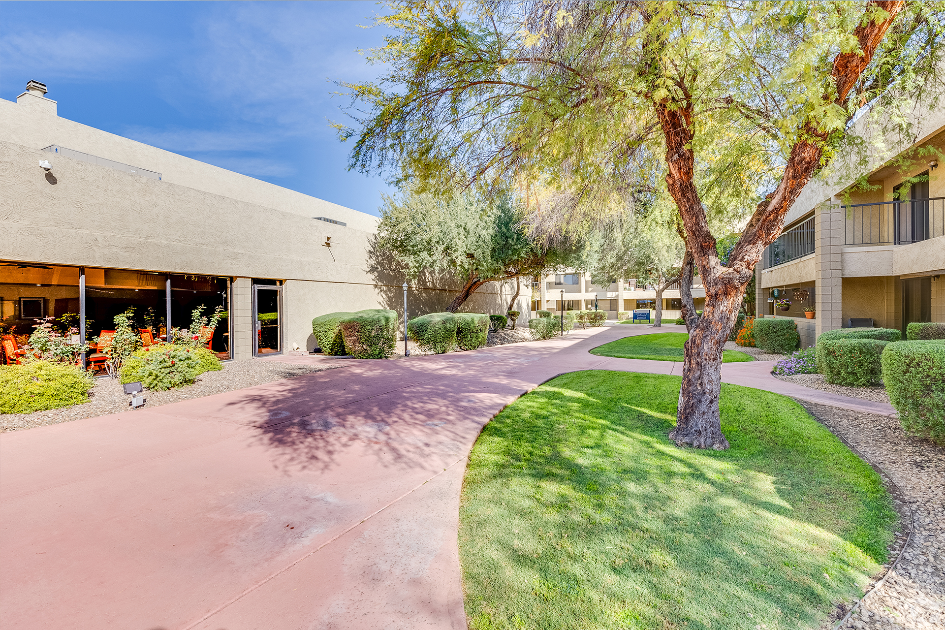 Landscaped courtyard with trees and tables — view 1 at LifeStream at Glendale.