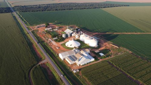 Foto de Fazenda da Flora Agronegócio