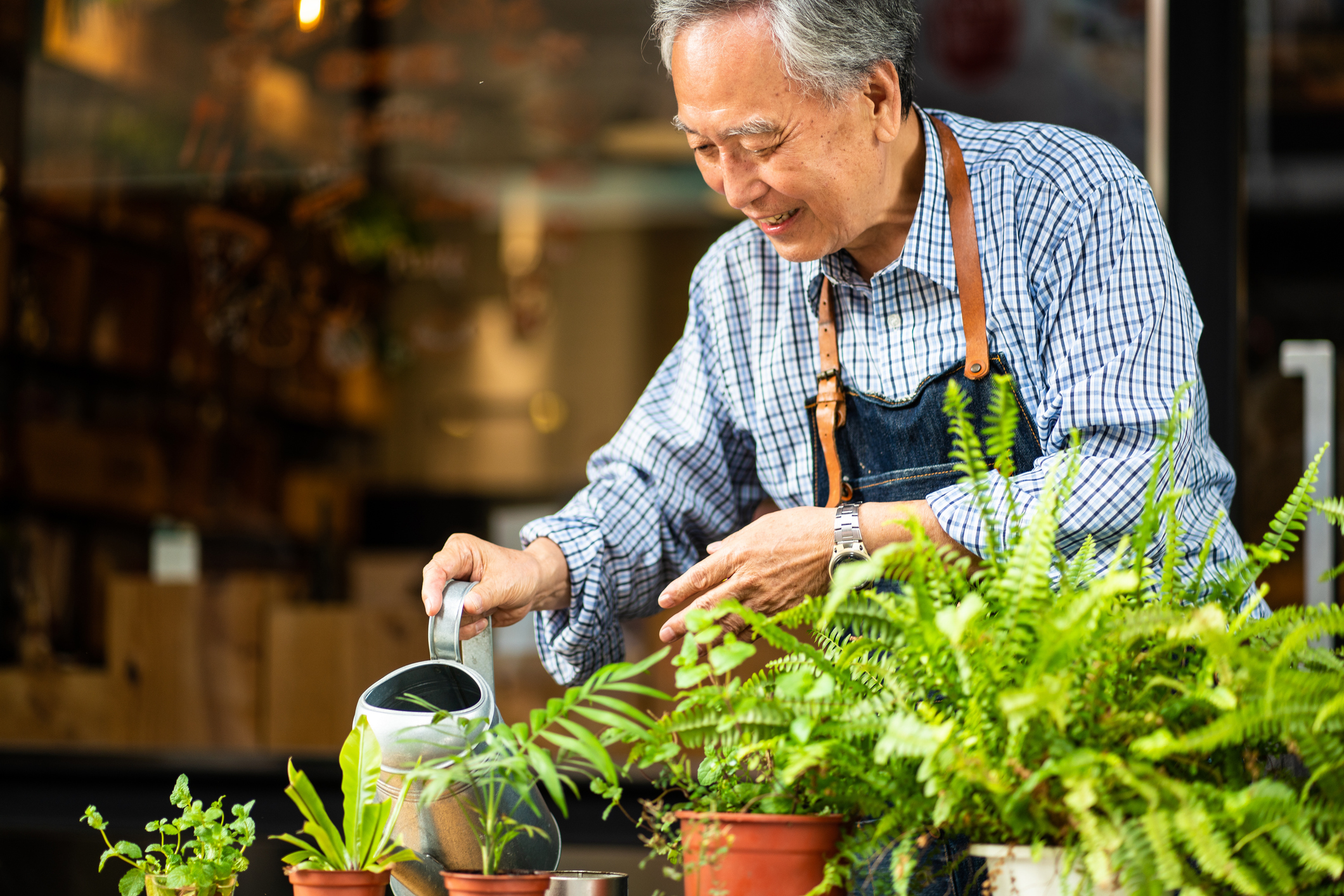 Container & Windowsill Gardens: Tips for Green Thumbs Living in Smaller Spaces