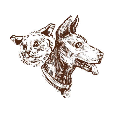 Sketch illustration of a dog and cat head in brown ink